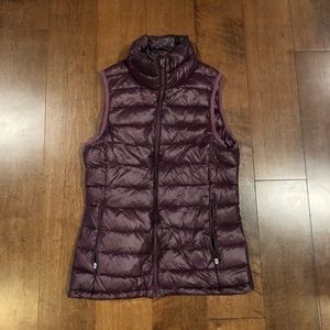 Aritzia Parklife Down Vest